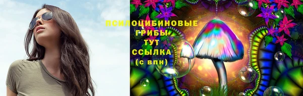 бутират Лагань