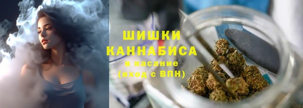 твердый Лабытнанги