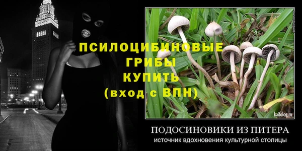 бутират Лагань