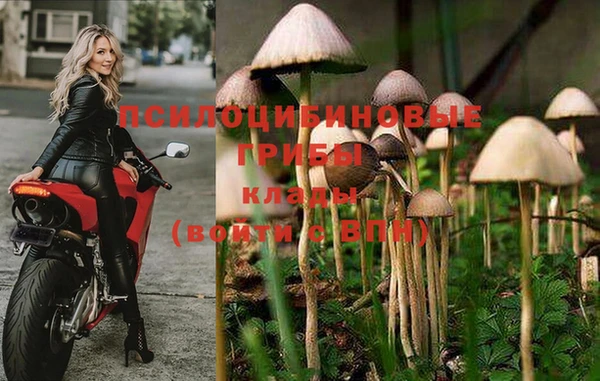 бутират Лагань