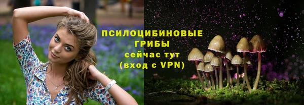 бутират Ладушкин