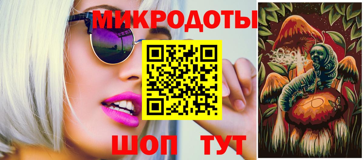 Псилоцибиновые грибы Psilocybine cubensis Березники