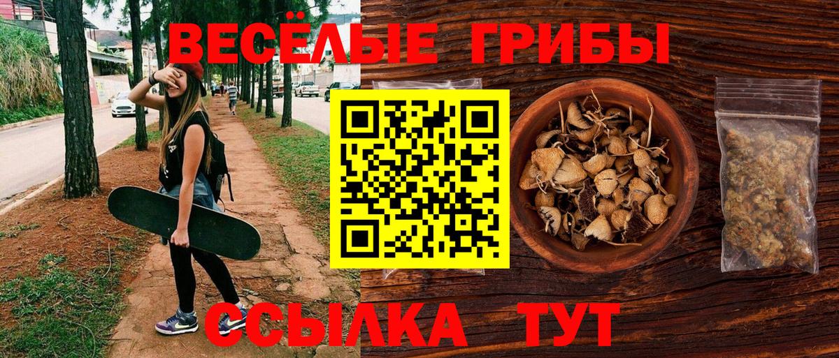 Псилоцибиновые грибы ЛСД Березники
