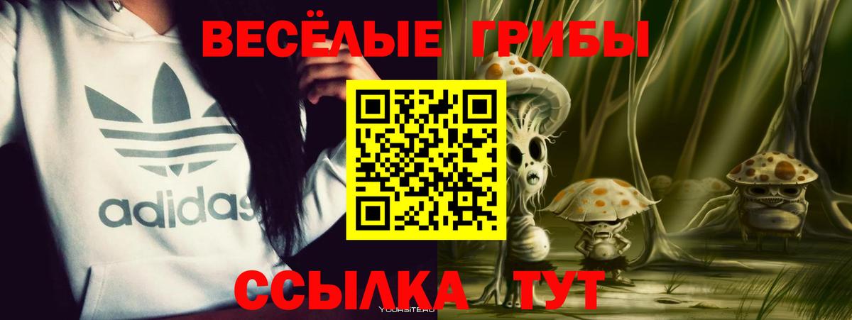 Псилоцибиновые грибы MAGIC MUSHROOMS  Галлюциногенные грибы прущие грибы  Березники  Вход с VPN 